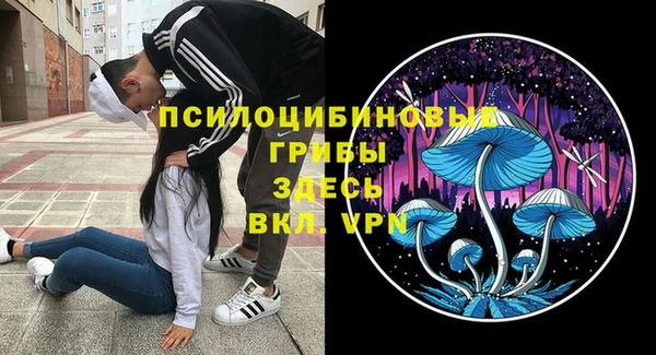 бошки Нефтегорск