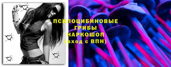 твердый Новозыбков