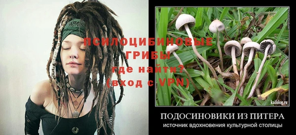 герыч Новодвинск