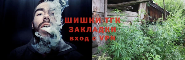 spice Болотное