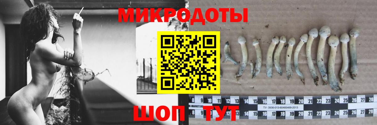 Галлюциногенные грибы MAGIC MUSHROOMS Кызыл